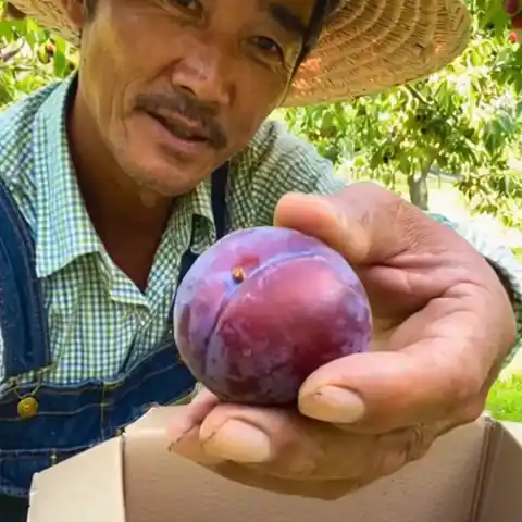 생생한 리뷰 영상